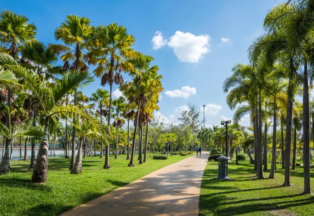 Collection agency serving Winter Park, Florida